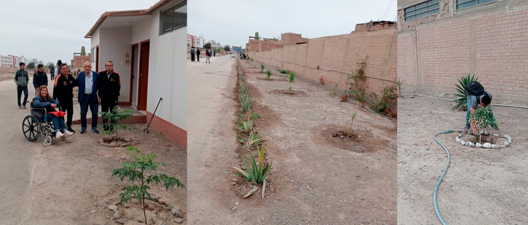 &Aacute;rboles de la sede de Oquendo reciben mantenimiento de los estudiantes de Educaci&oacute;n