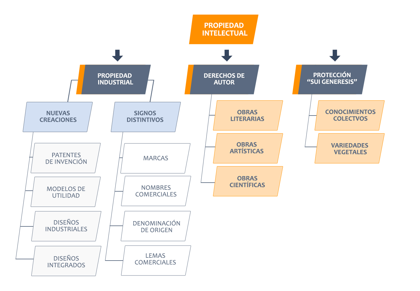 Propiedad intelectual estructura2