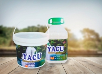 Desarrollo de un adhesivo acuoso de poliuretano en base agua para la industria de calzado y afines